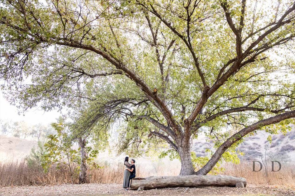 Mom and Dad under a Tree