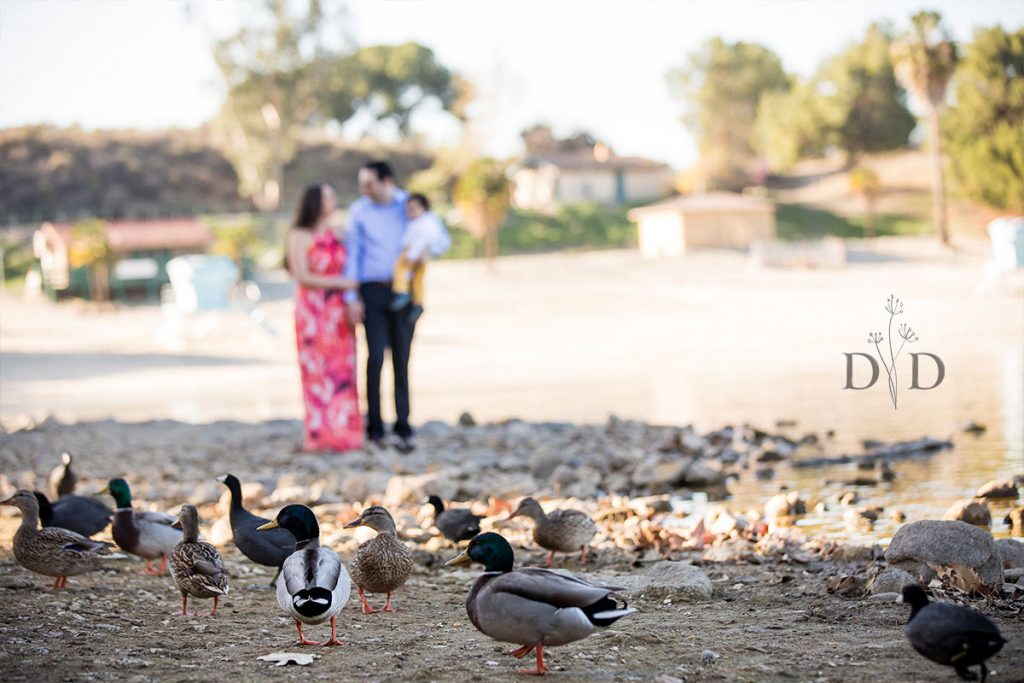 San Dimas Family Photography with ducks