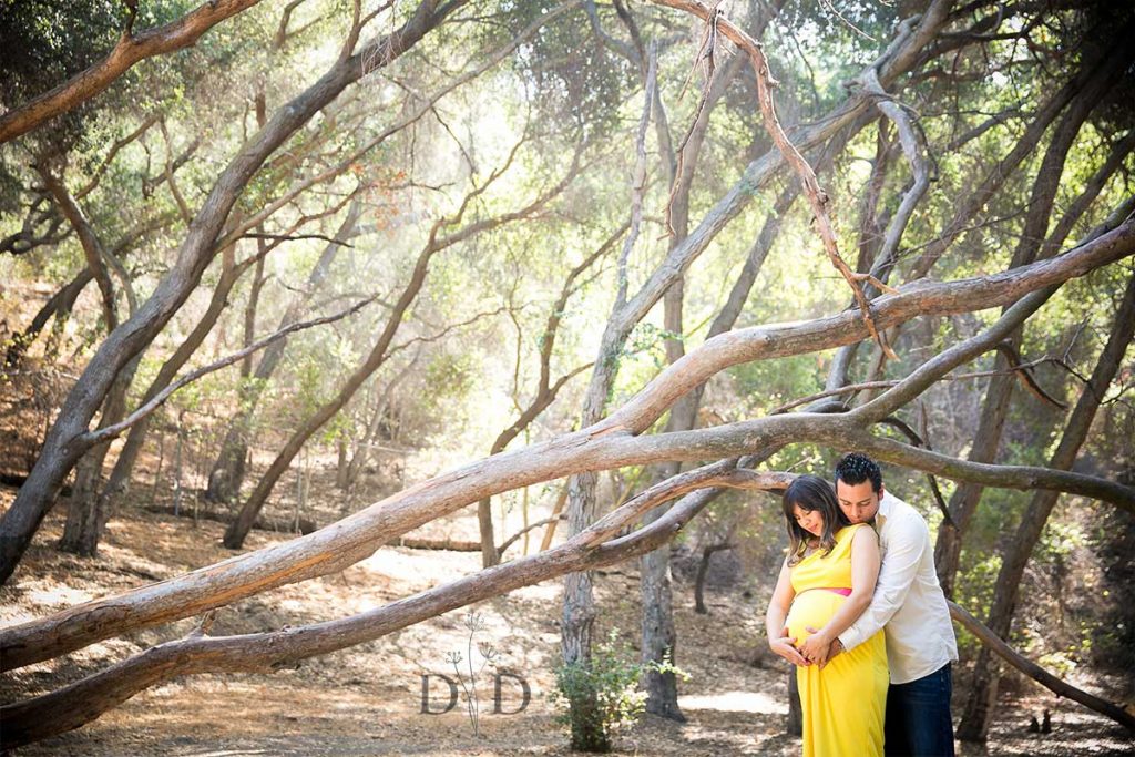 Maternity Photography Walnut Creek Park