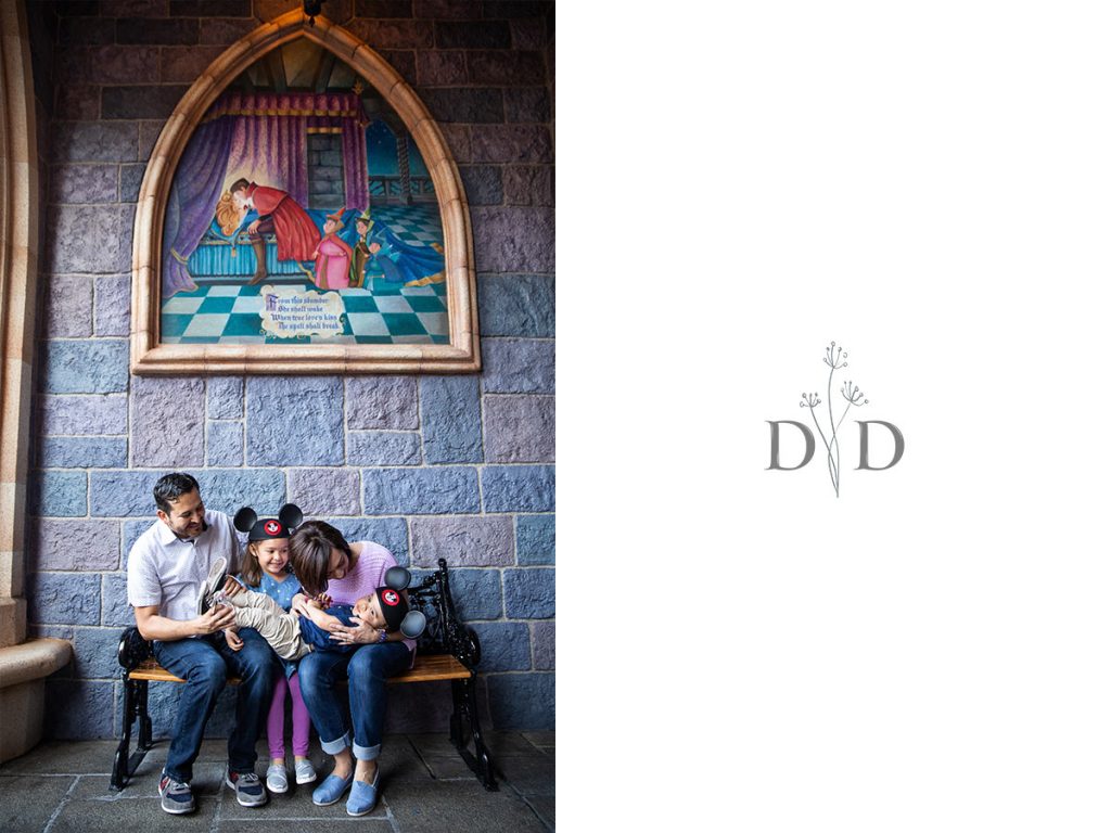 Disneyland Family Photos  at the Castle