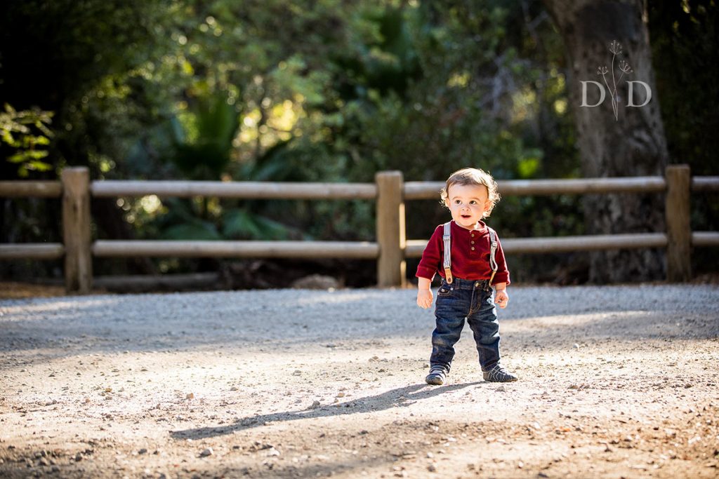 Toddler Son Family Photography
