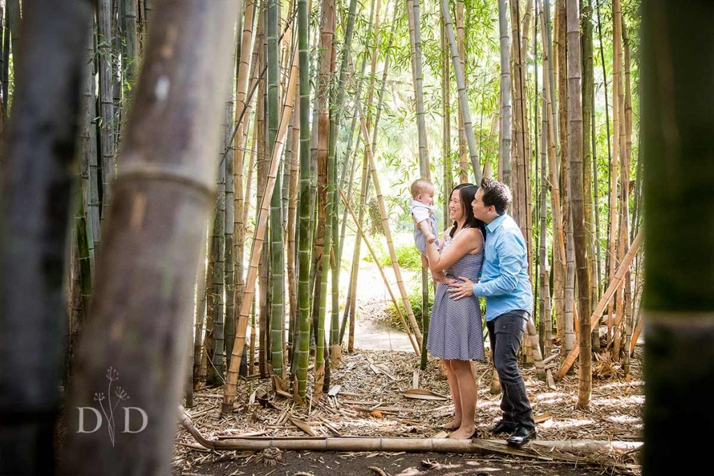Family Photography Bamboo Forest