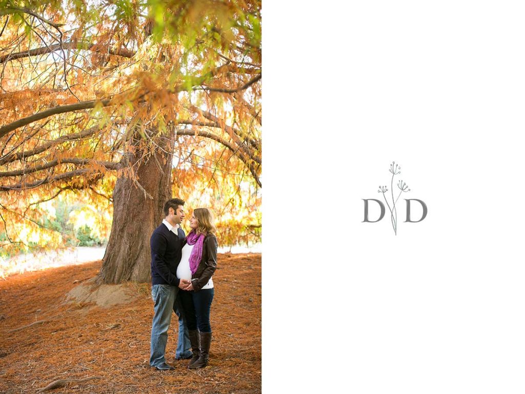 Maternity Photography with Fall Leaves in Fullerton