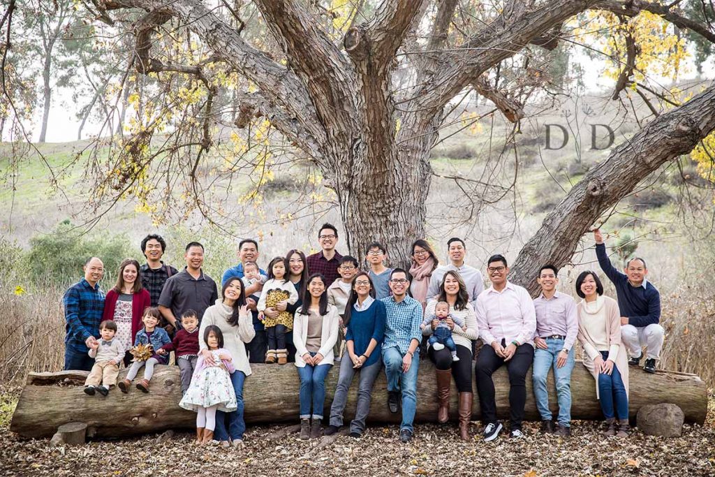 Large Family Photo on a Log