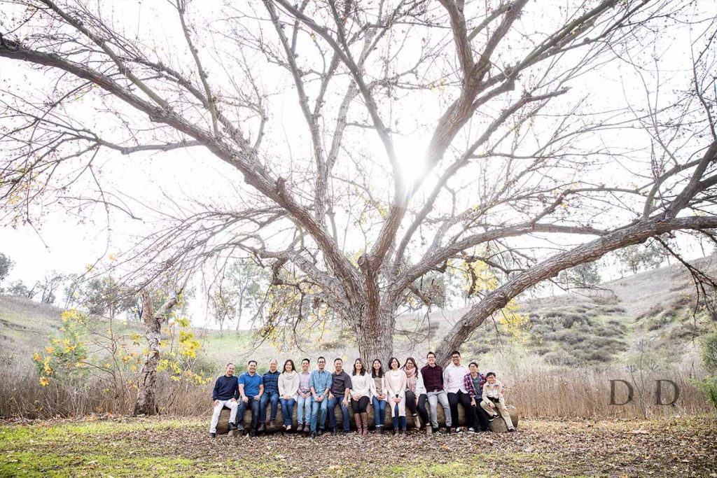 Large Family Photo under a Tree