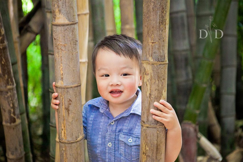 Little Boy in a Bamboo Forest