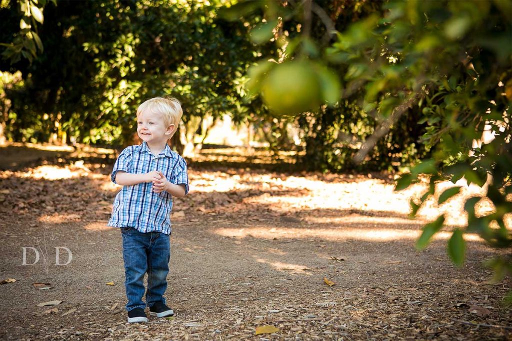 Toddler Son Portrait Photography