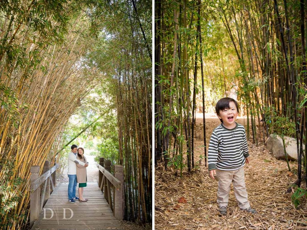 Fullerton Family Photography with Bamboo