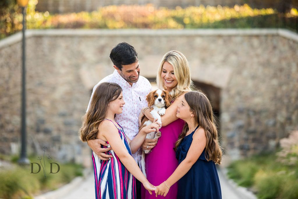 Family Photos with Dog