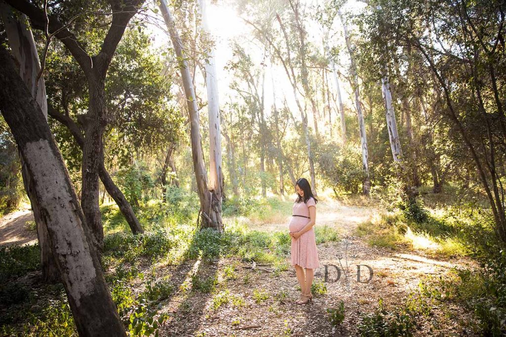 Pregnancy Photography Los Angeles